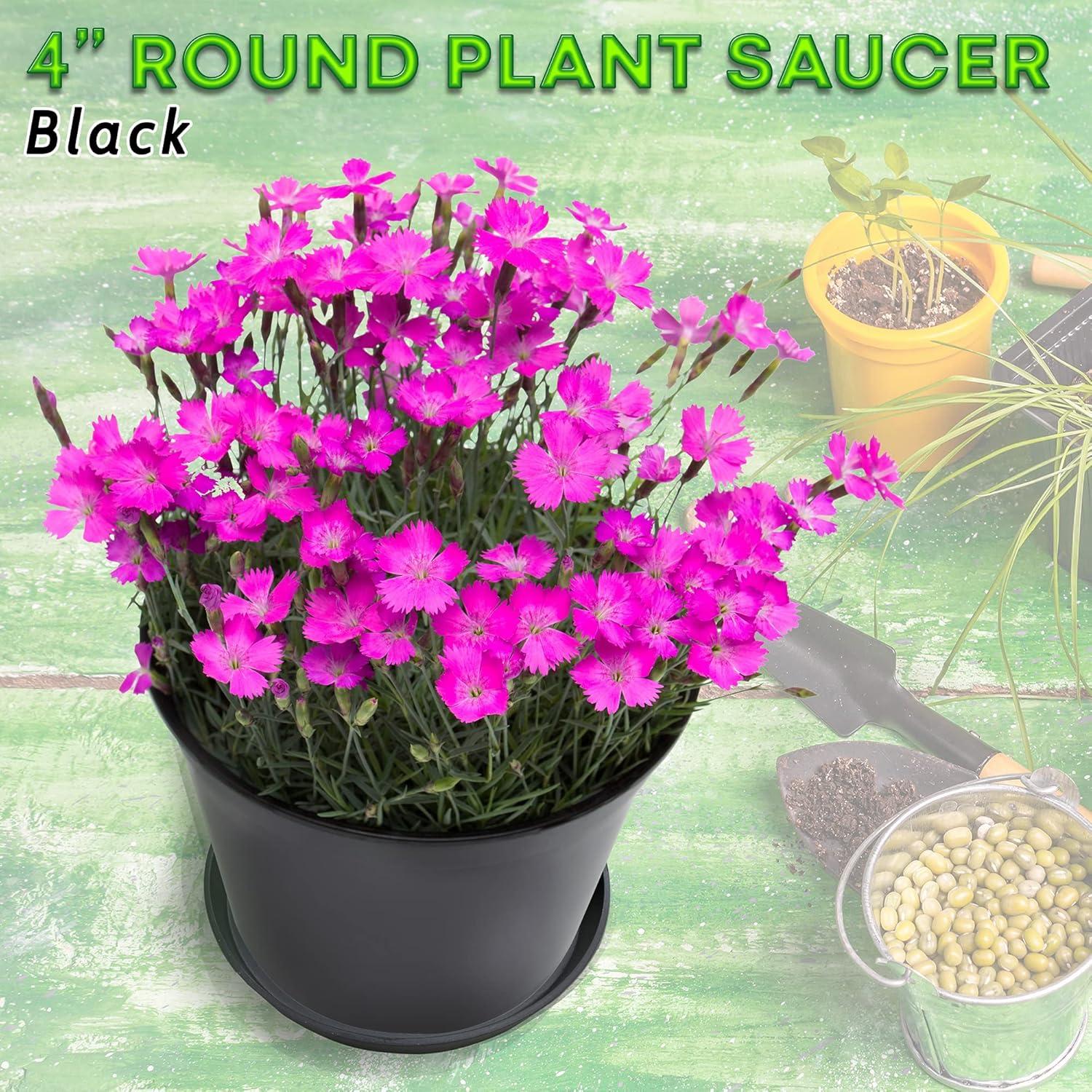 Charola Redonda Little Bear Peak - 2 Piezas 10.16 cm Negro