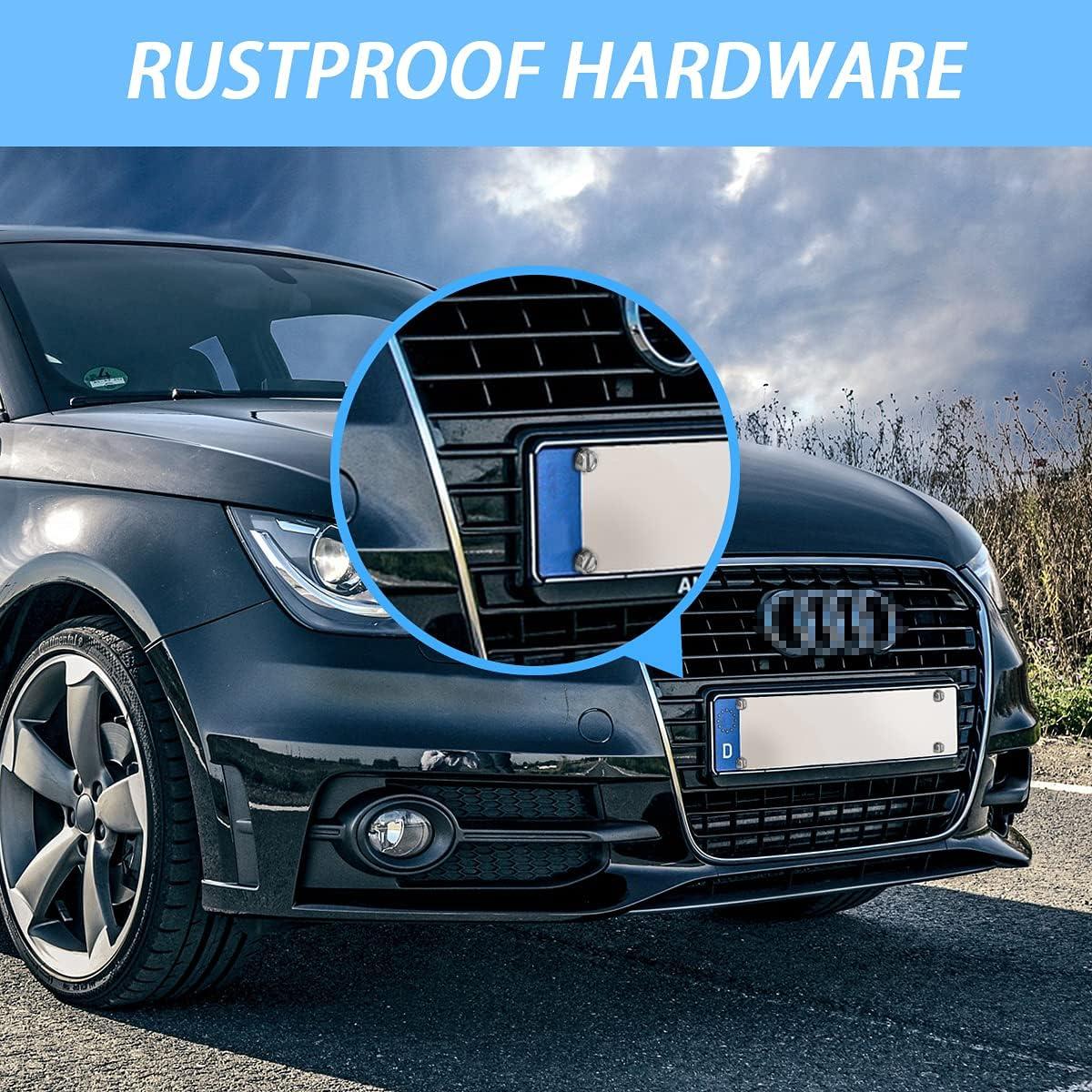 Tornillos Universales Moly Magnolia para Placas de Matrícula - 16 Piezas