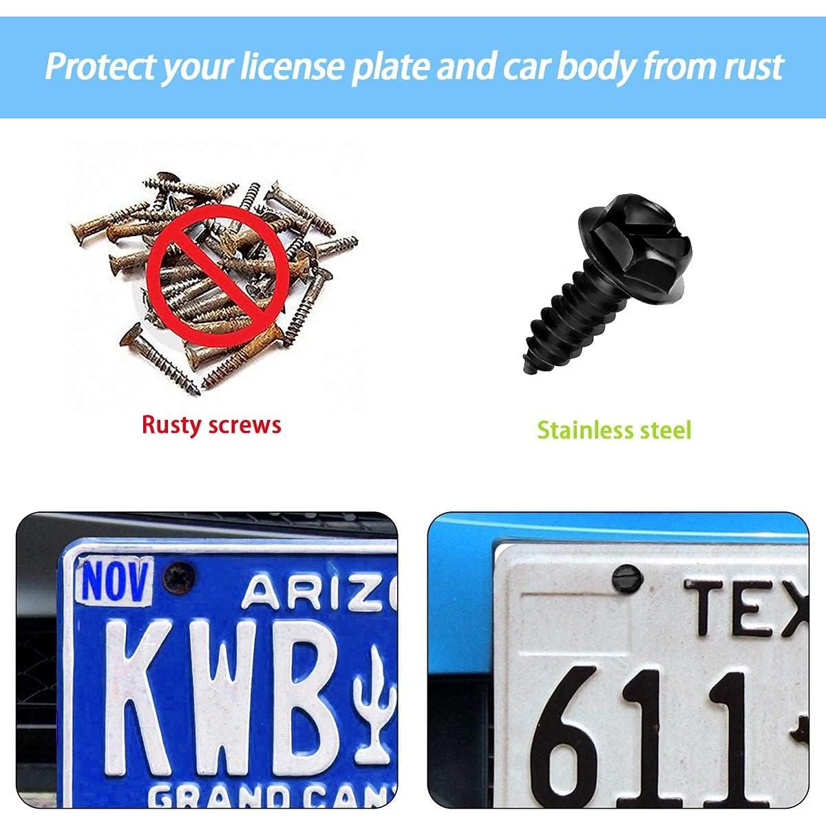 Tornillos Universales Moly Magnolia para Placas de Matrícula - 16 Piezas