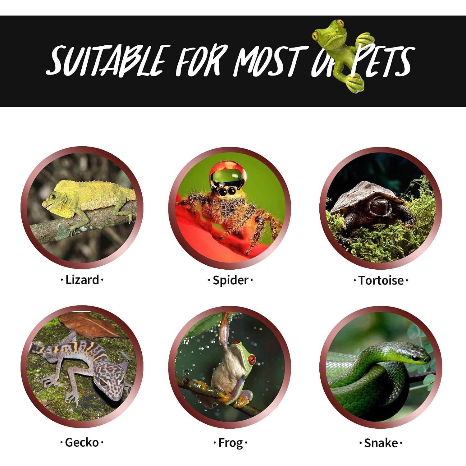 Bombillas de Calor Nocturno 75W FIVEAGE para Reptiles - Paquete de 2