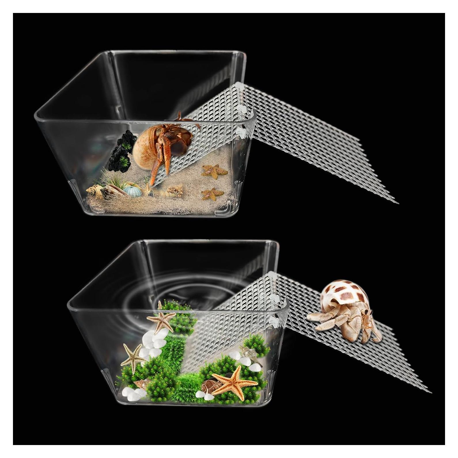 Tanque para Cangrejos Ermitaños Iffitya con Rampas - 10.39x10.32cm