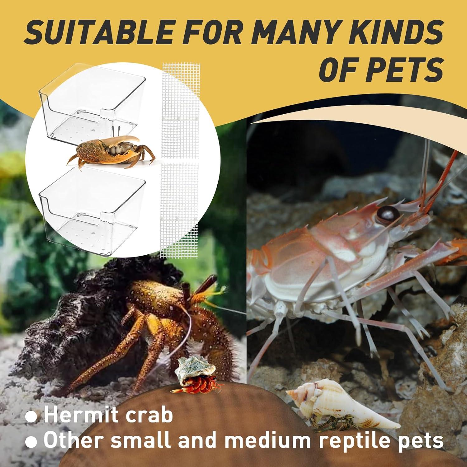 Tanque para Cangrejos Ermitaños Iffitya con Rampas - 10.39x10.32cm