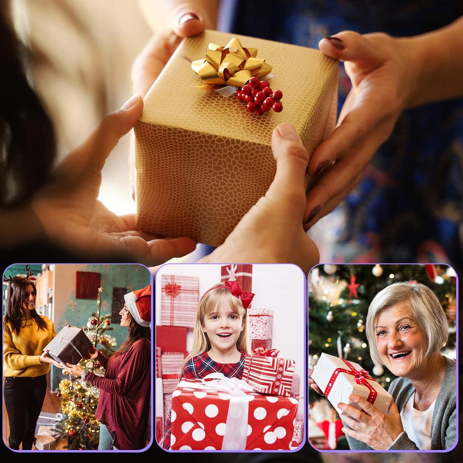 Kit de Ganchillo Aeelike 321 Piezas para Principiantes con Bolsa