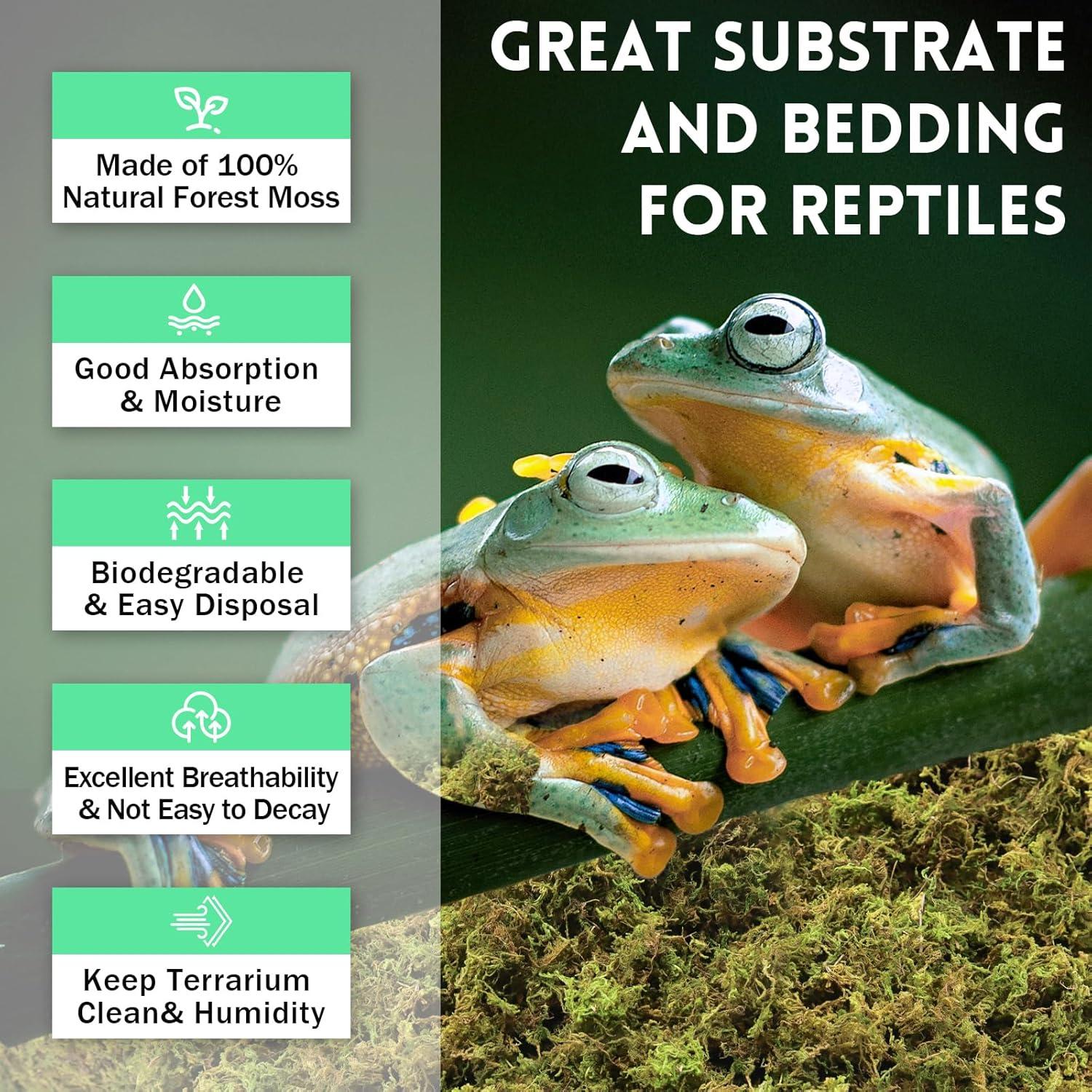 Musgo Sphagnum Premium Riare 14 oz para Reptiles y Terrarios