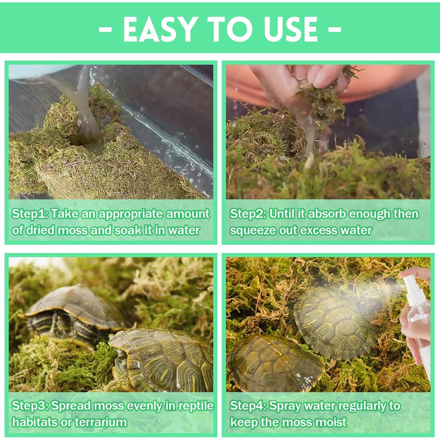 Musgo Sphagnum Premium Riare 14 oz para Reptiles y Terrarios