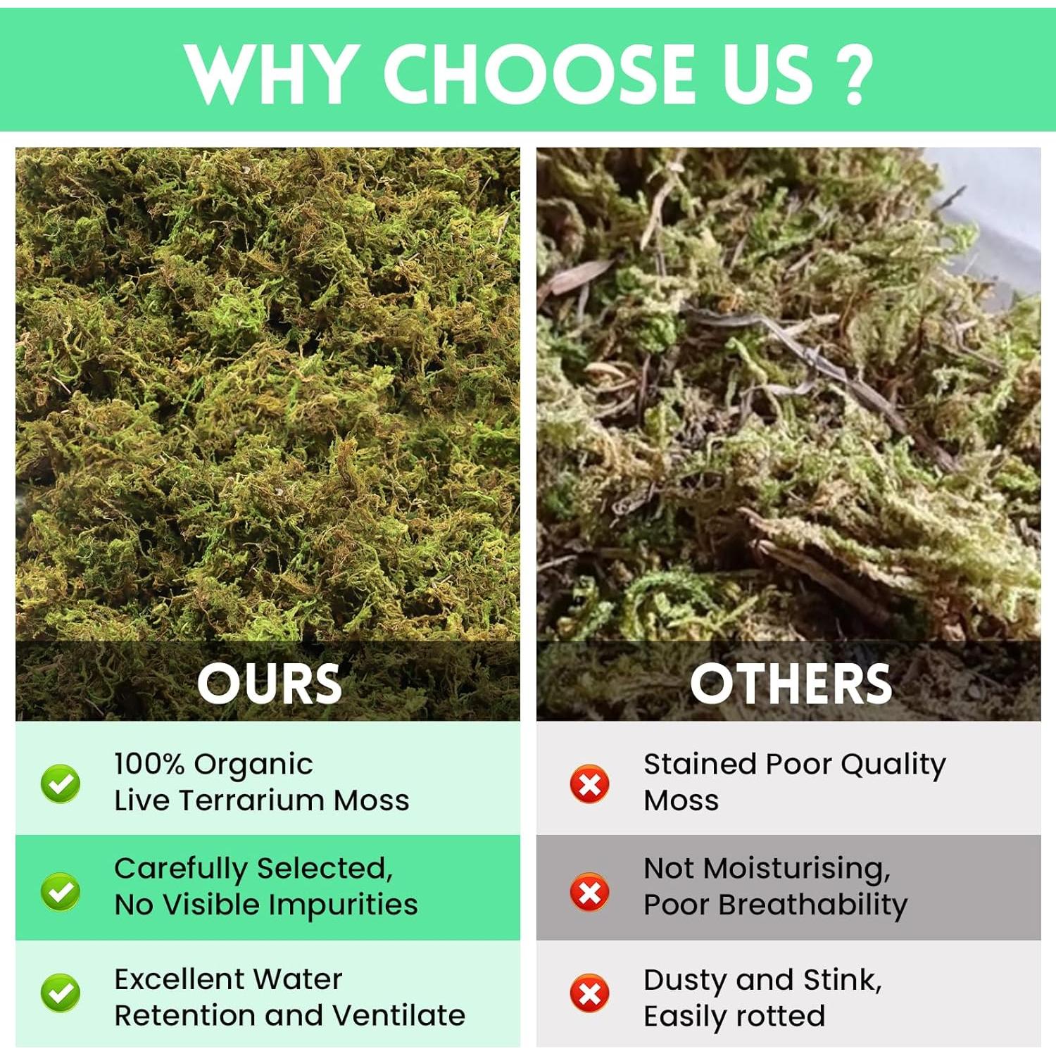 Musgo Sphagnum Premium Riare 14 oz para Reptiles y Terrarios