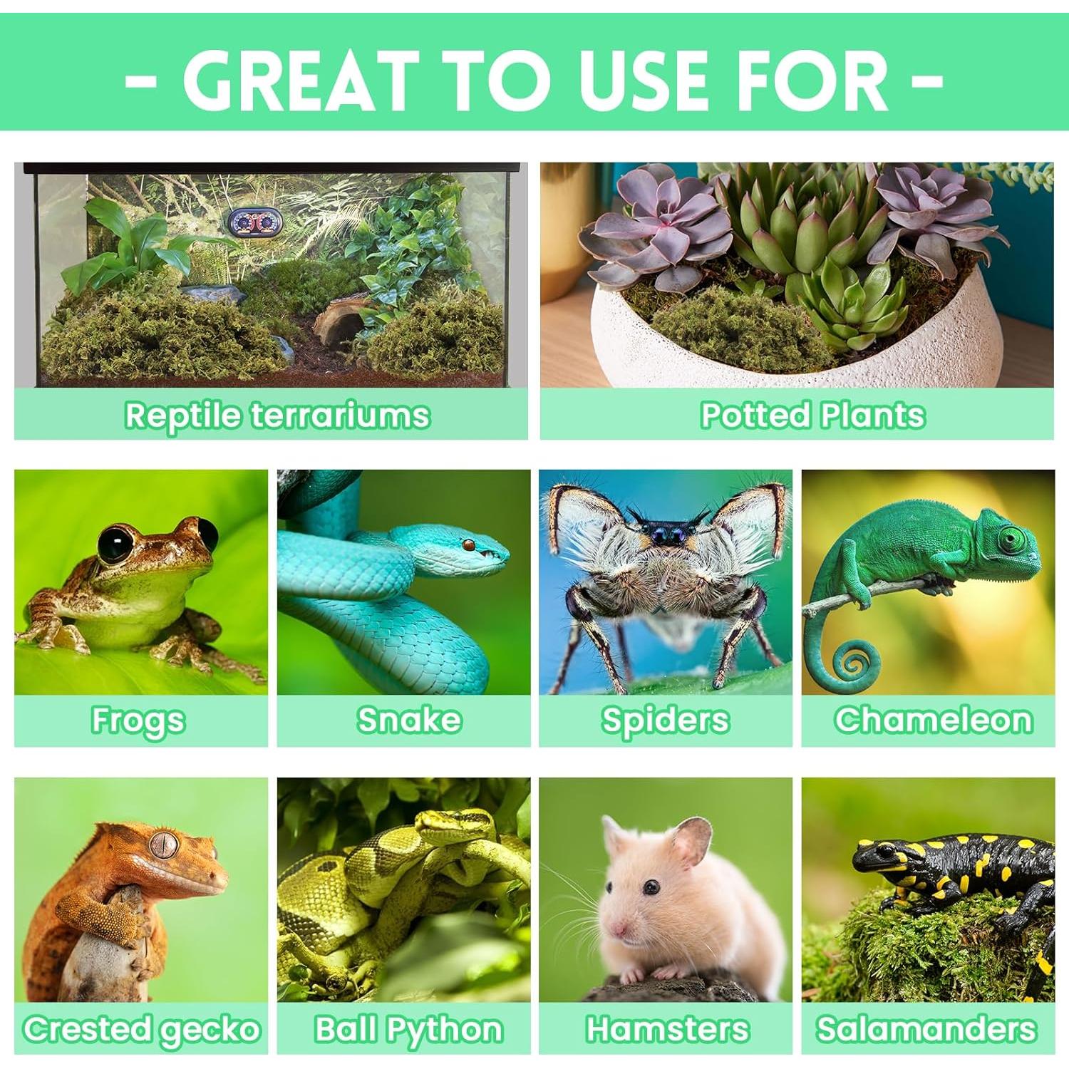 Musgo Sphagnum Premium Riare 14 oz para Reptiles y Terrarios