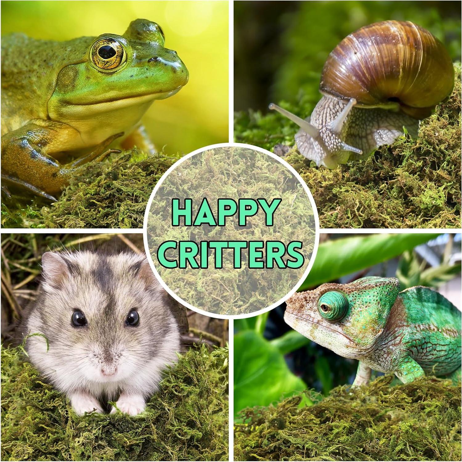 Musgo Sphagnum Premium Riare 14 oz para Reptiles y Terrarios