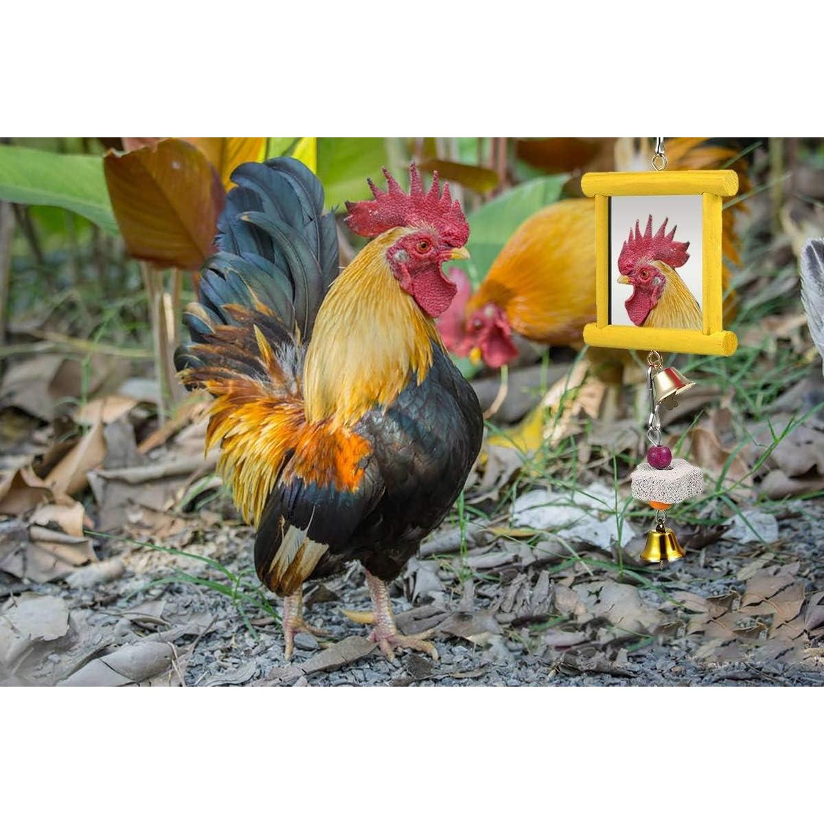 Juguetes Espejo para Pollos Vehomy 2 Pcs con Campanas y Piedras