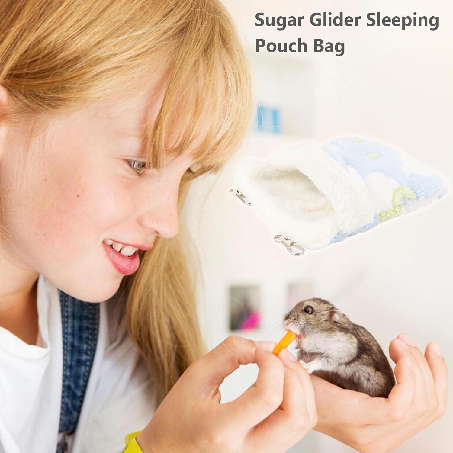 Bolsa de Dormir para Planeador de Azúcar Reshiho 20x17cm Azul