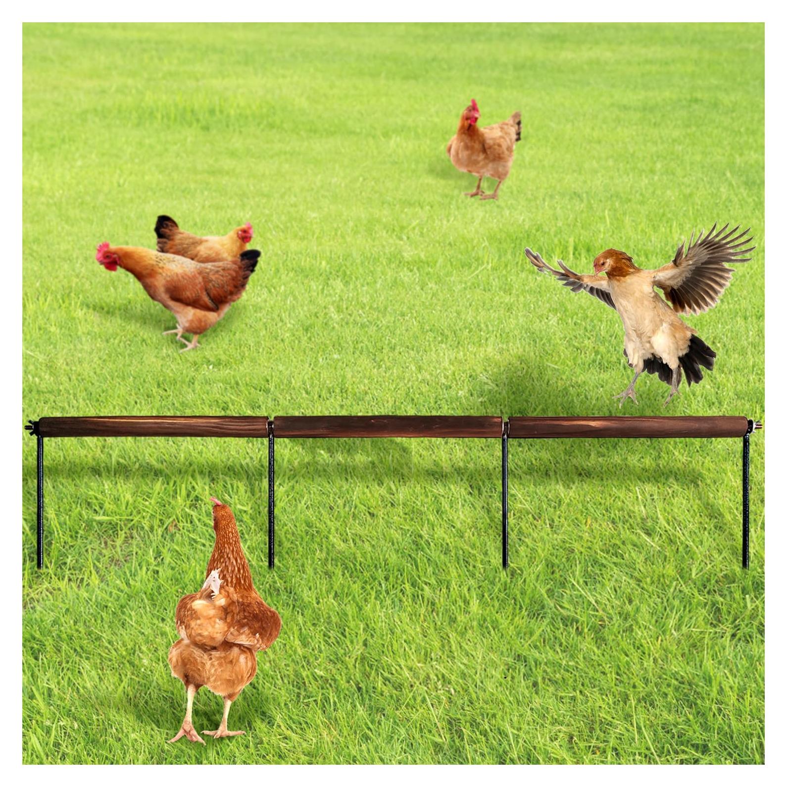 Juguete de Percha Extra Larga para Pollos NICERINC 114 cm