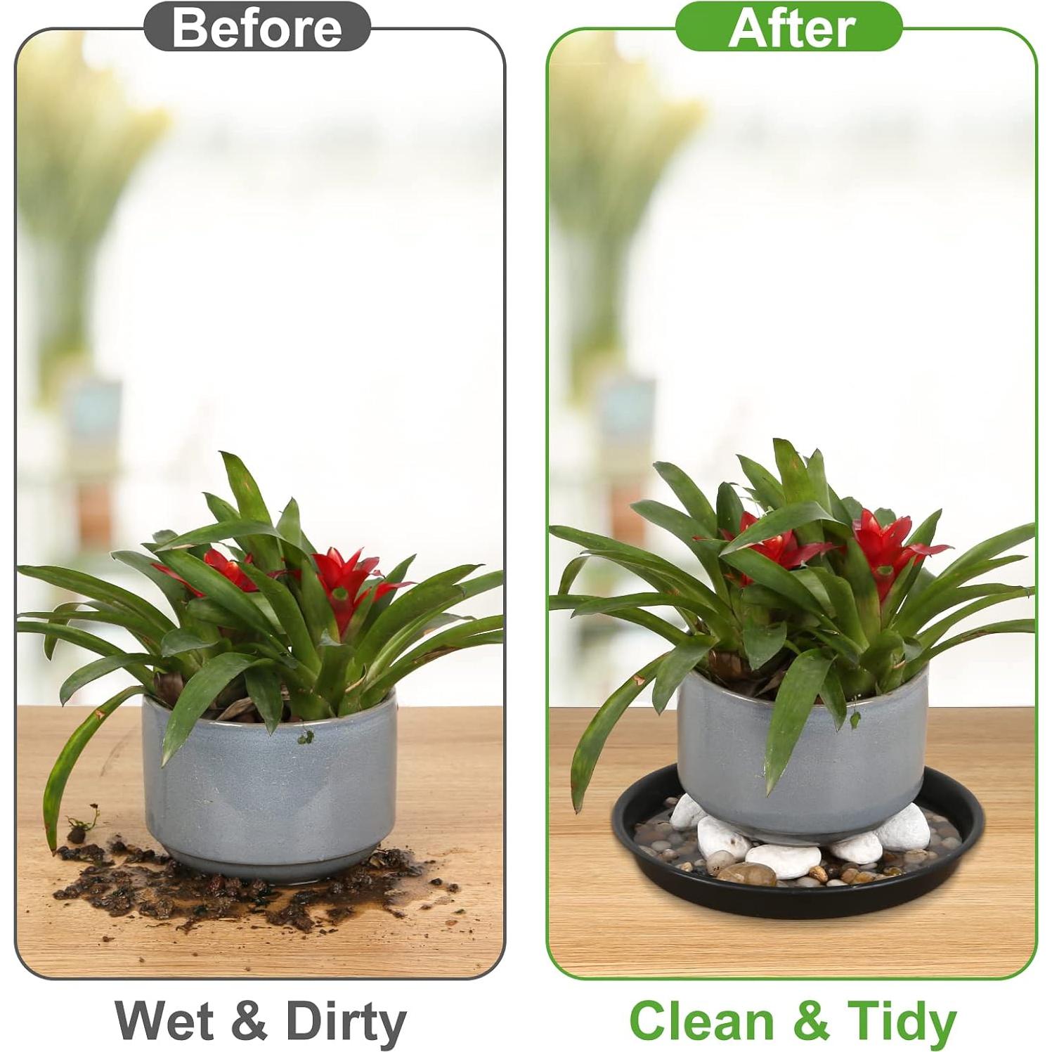 Paquete de 8 Platillos de Plástico NABAOXUN para Plantas 10-15 cm