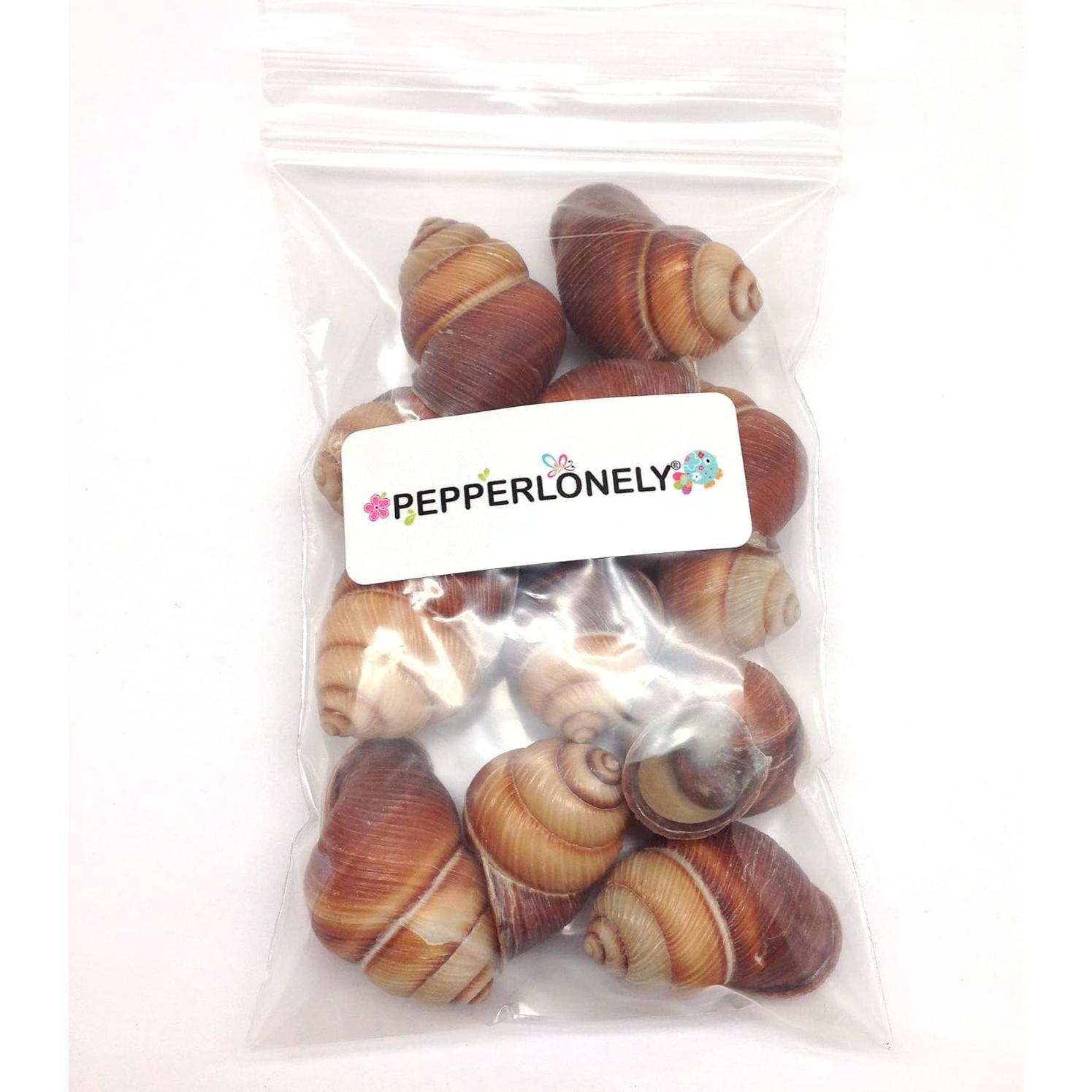 Caracoles Marinos PEPPERLONELY 12PC Decoración Playa 3.81-5.08cm