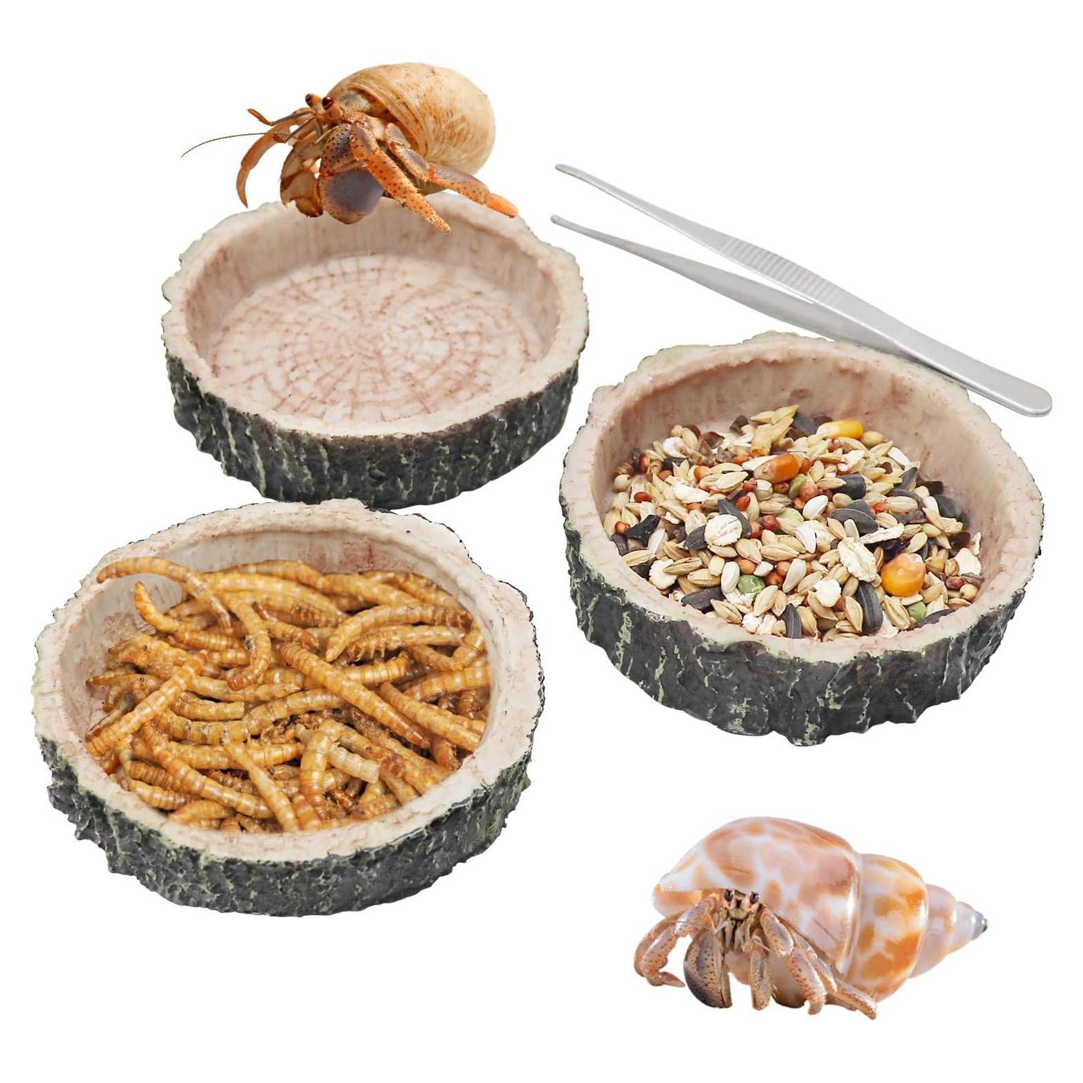 Paquete de 3 platos de resina para reptiles MinrzPet