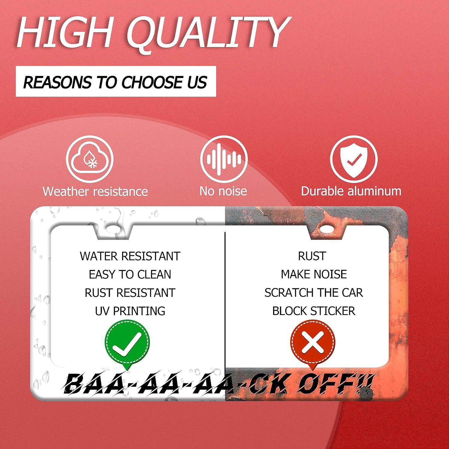 Marco de Placa de Licencia GORSNKYE Acero Inoxidable 31.2x16 cm