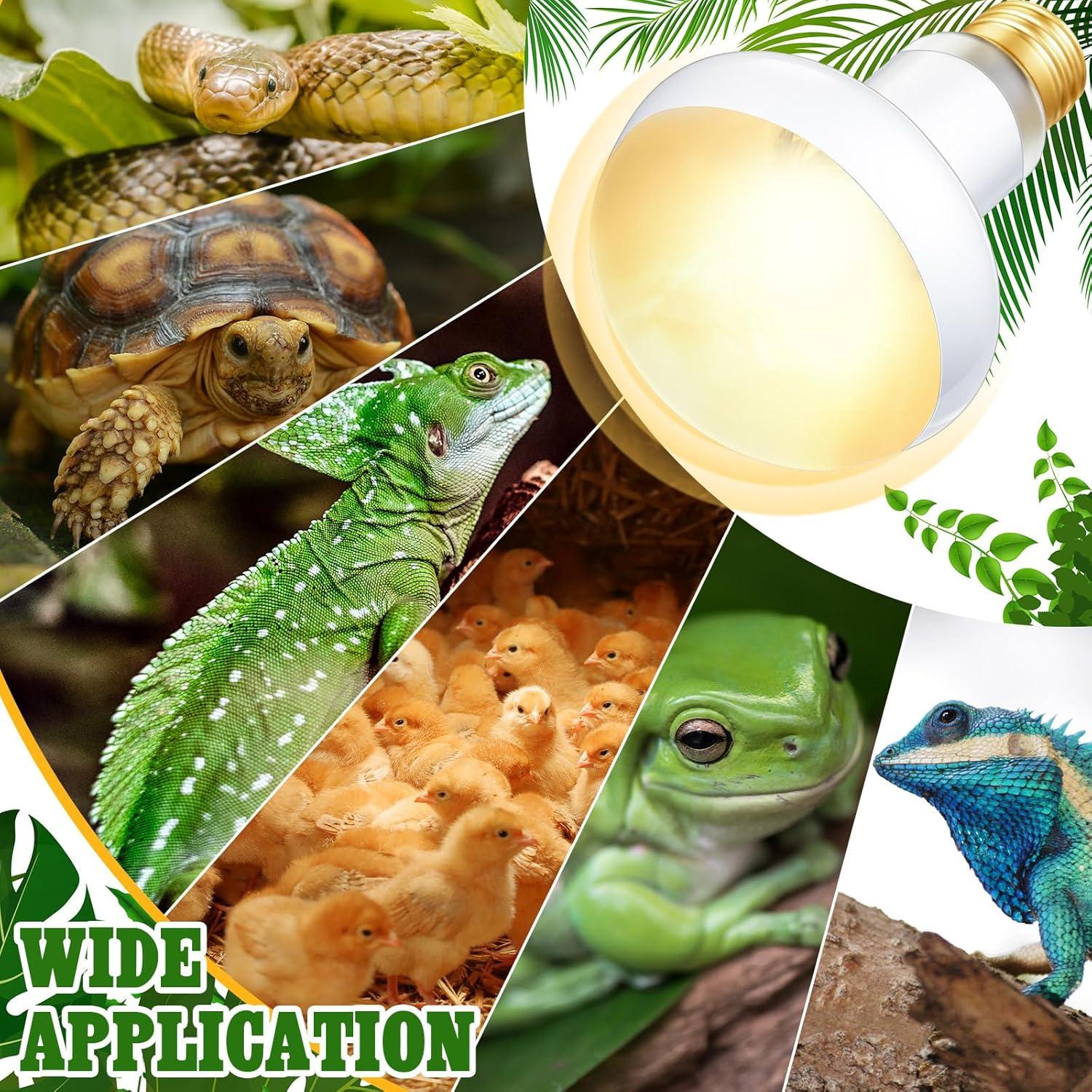 Bombillas de Calor 75W Retisee para Reptiles - Pack de 4