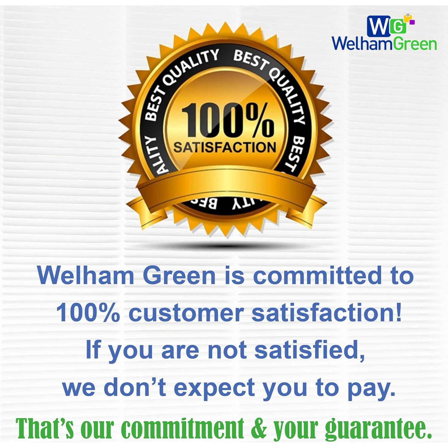 Paquete de 4 Pre-Filtros Welham Green para Levoit Core 300