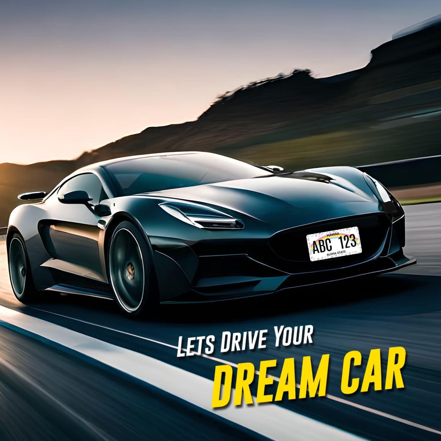 Marco de Placa de Licencia MUAWUOIK Koala Acuarela 31.2x16 cm