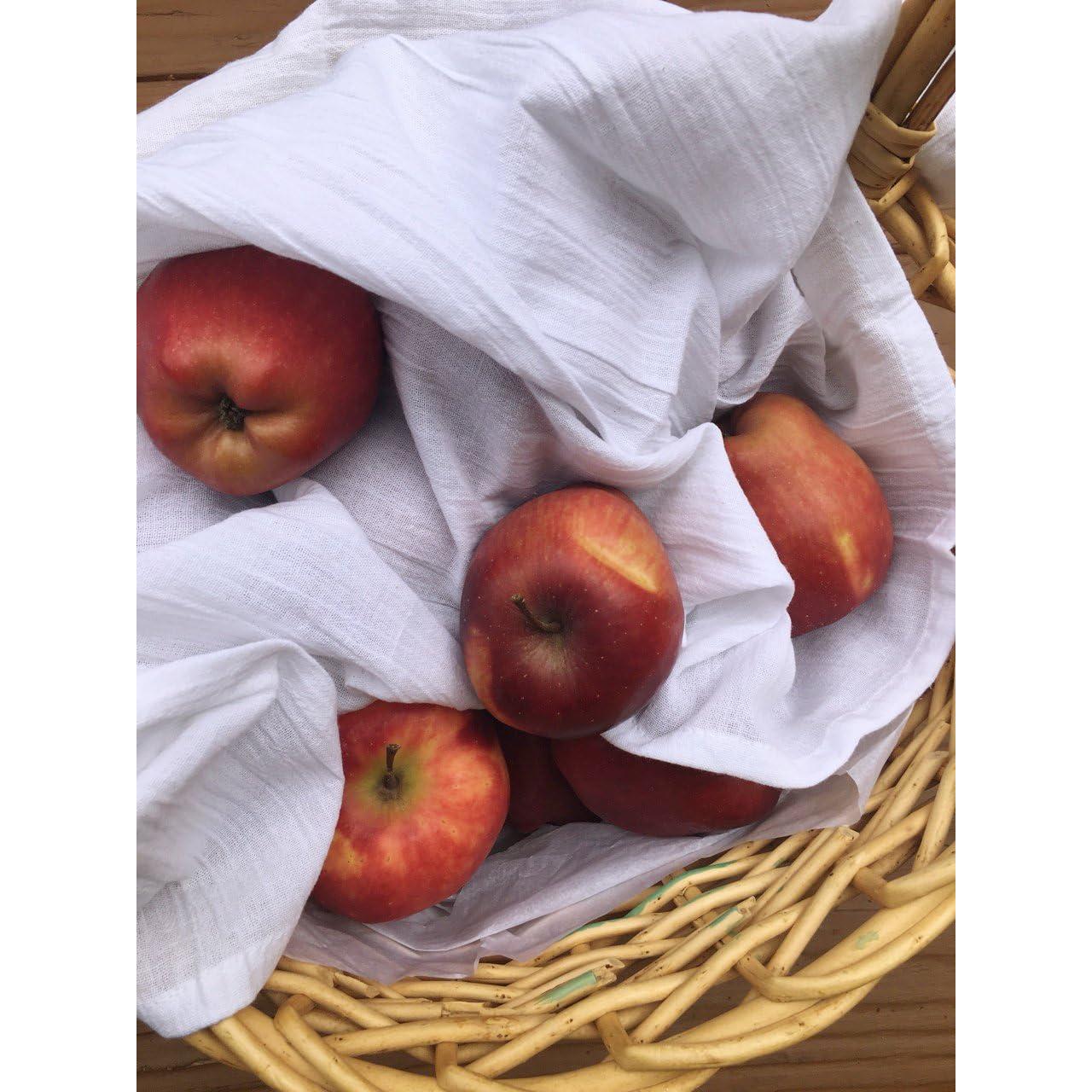 Toallas de Cocina 100% Algodón Ofertas Excelentes 24 Piezas 71x71 cm