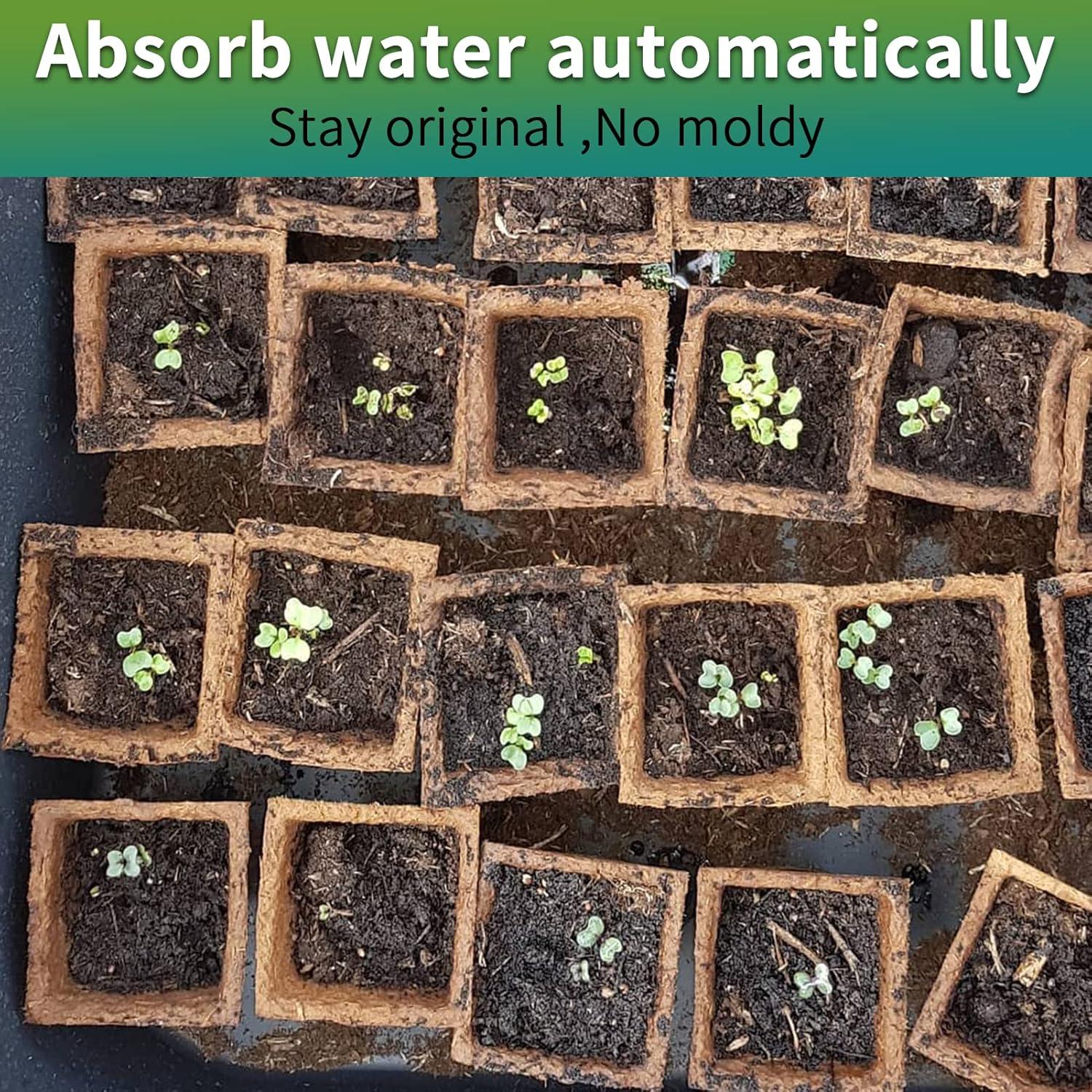 Bandejas de Inicio de Plántulas TCBWFY 200 Celdas Biodegradables