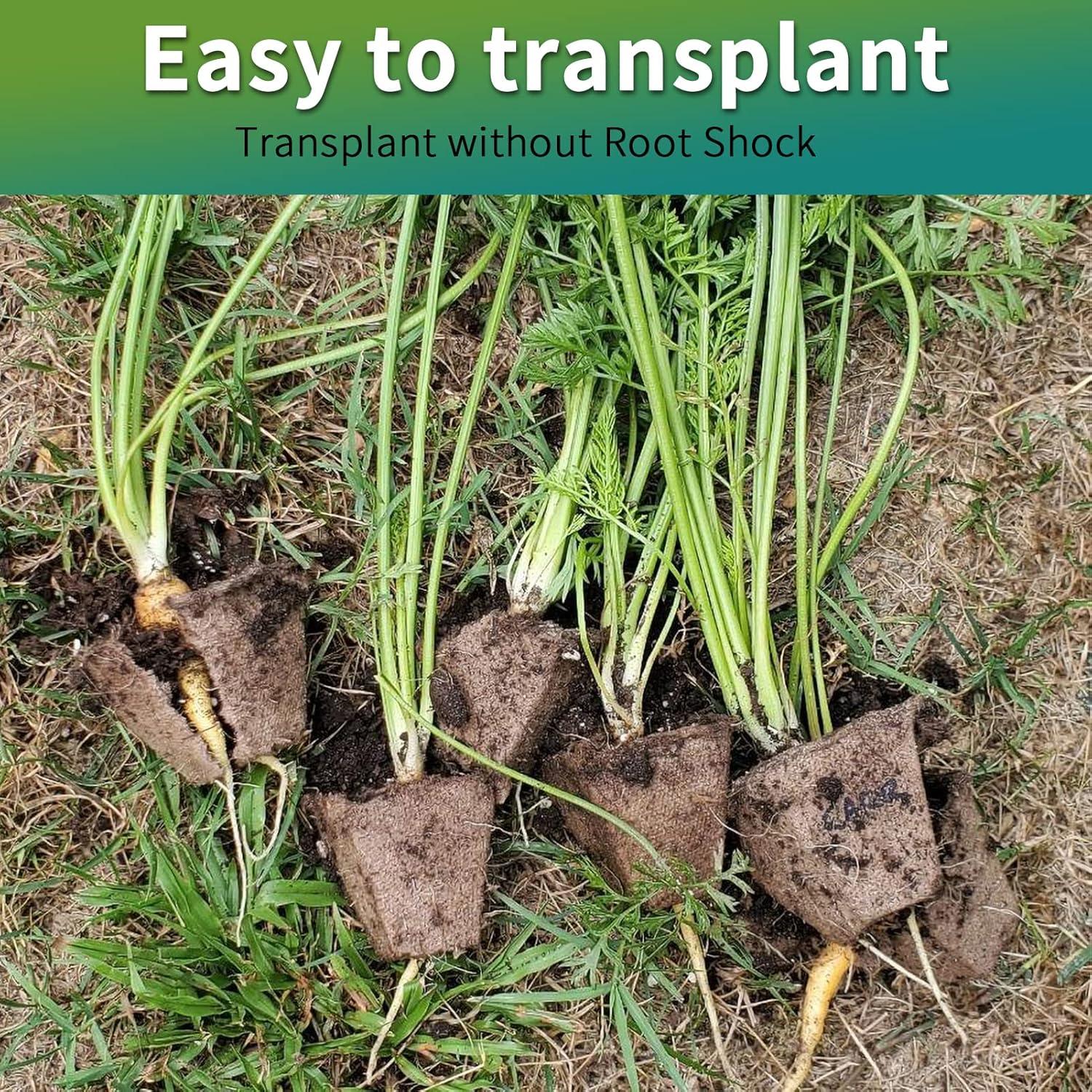 Bandejas de Inicio de Plántulas TCBWFY 200 Celdas Biodegradables