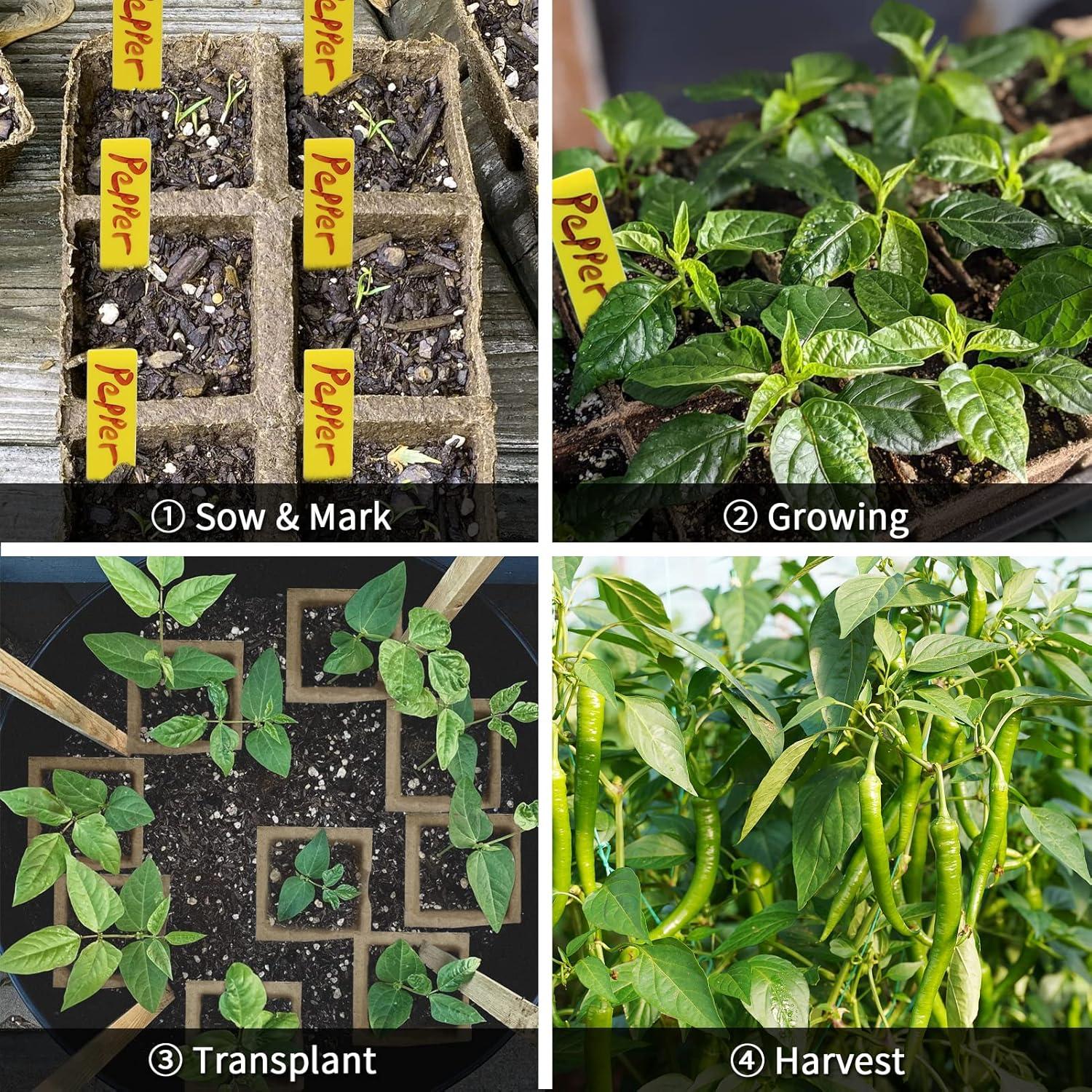 Bandejas de Inicio de Plántulas TCBWFY 200 Celdas Biodegradables