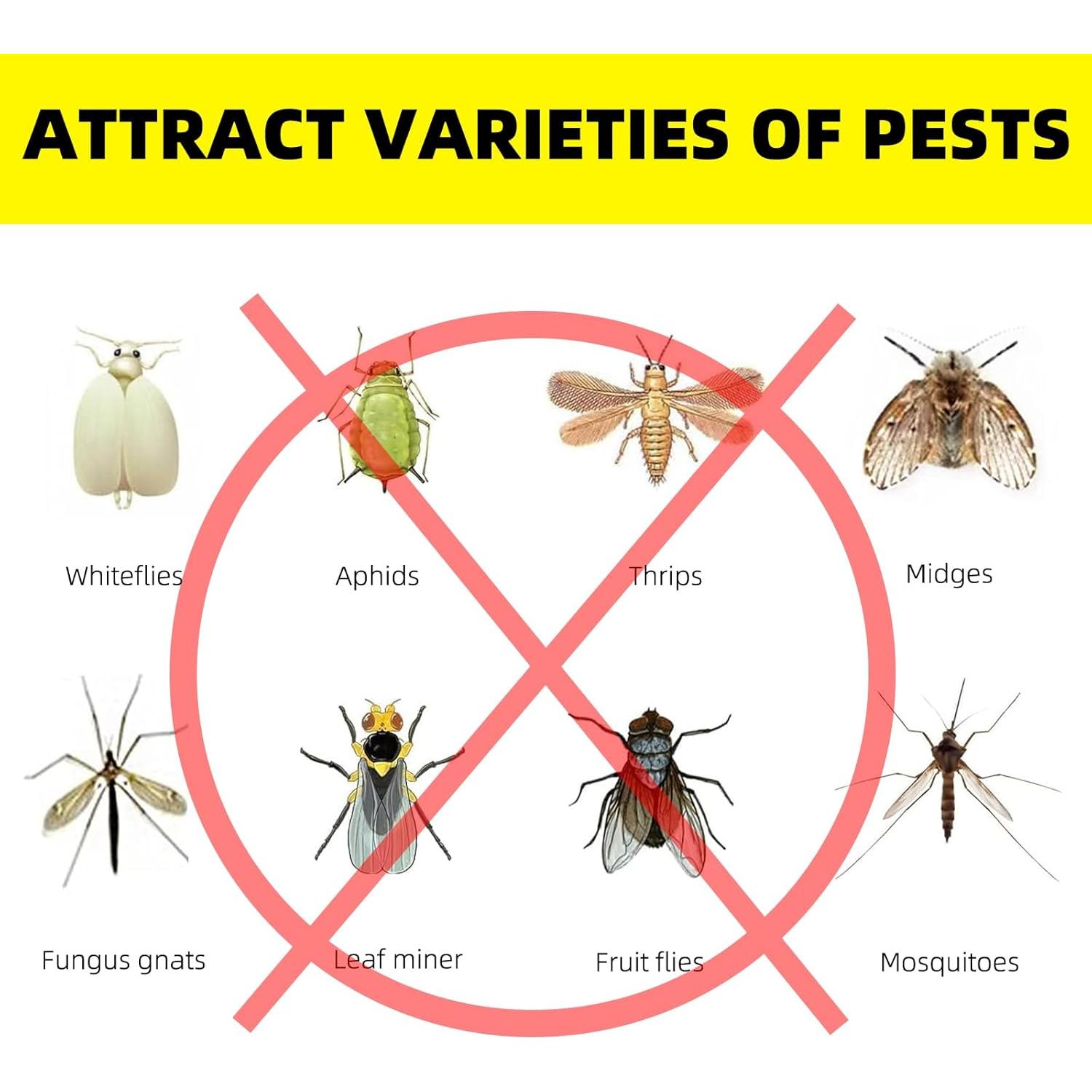 Trampas Adhesivas Amarillas Mosqueda 36 Unidades para Insectos