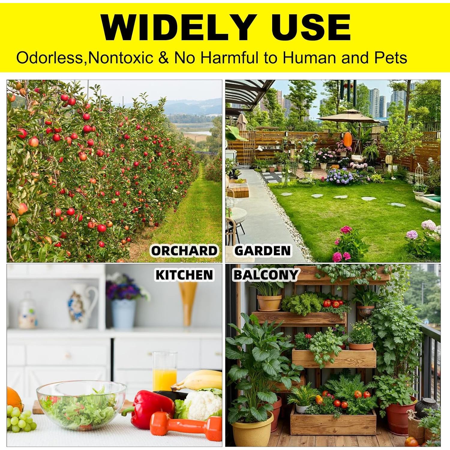 Trampas Adhesivas Amarillas Mosqueda 36 Unidades para Insectos