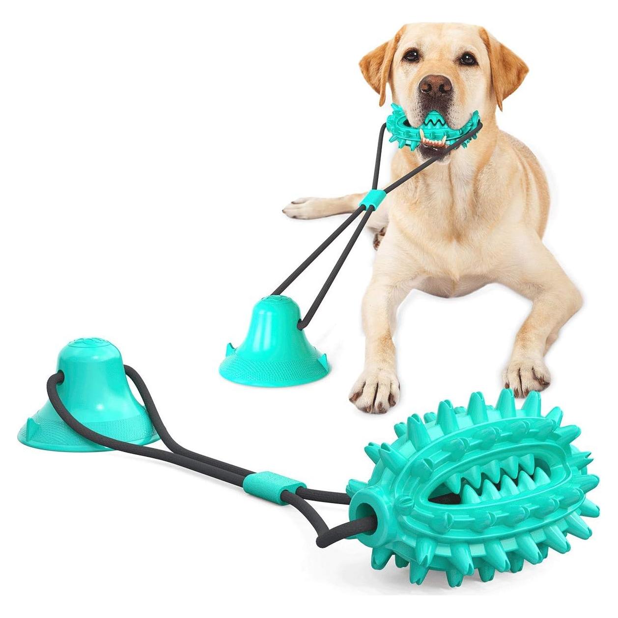 Juguete para Perros Guardians con Ventosa y Cuerda Azul