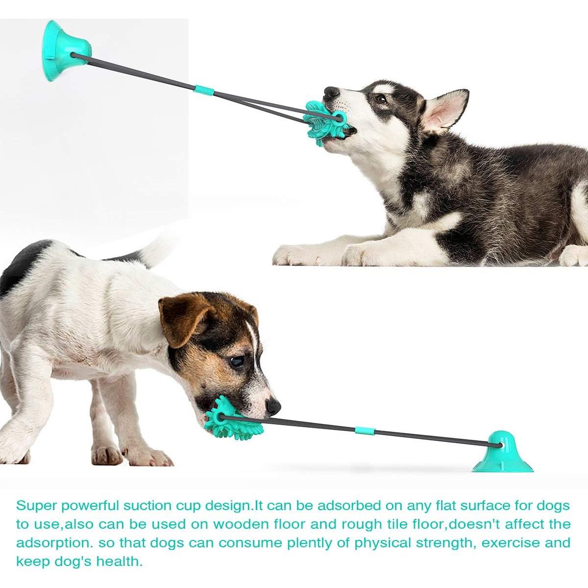 Juguete para Perros Guardians con Ventosa y Cuerda Azul