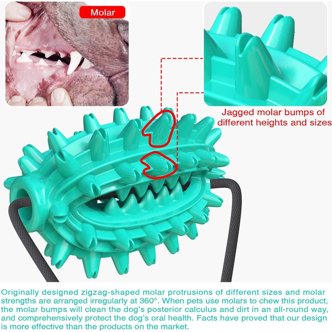 Juguete para Perros Guardians con Ventosa y Cuerda Azul