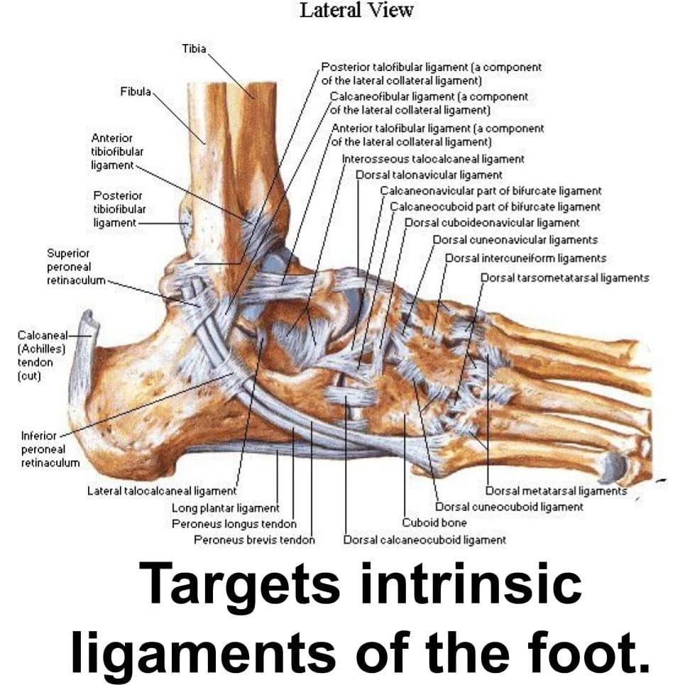 Disco de Equilibrio AcrobaX The Deep Tissue Doc 10.16 cm Acero Inoxidable