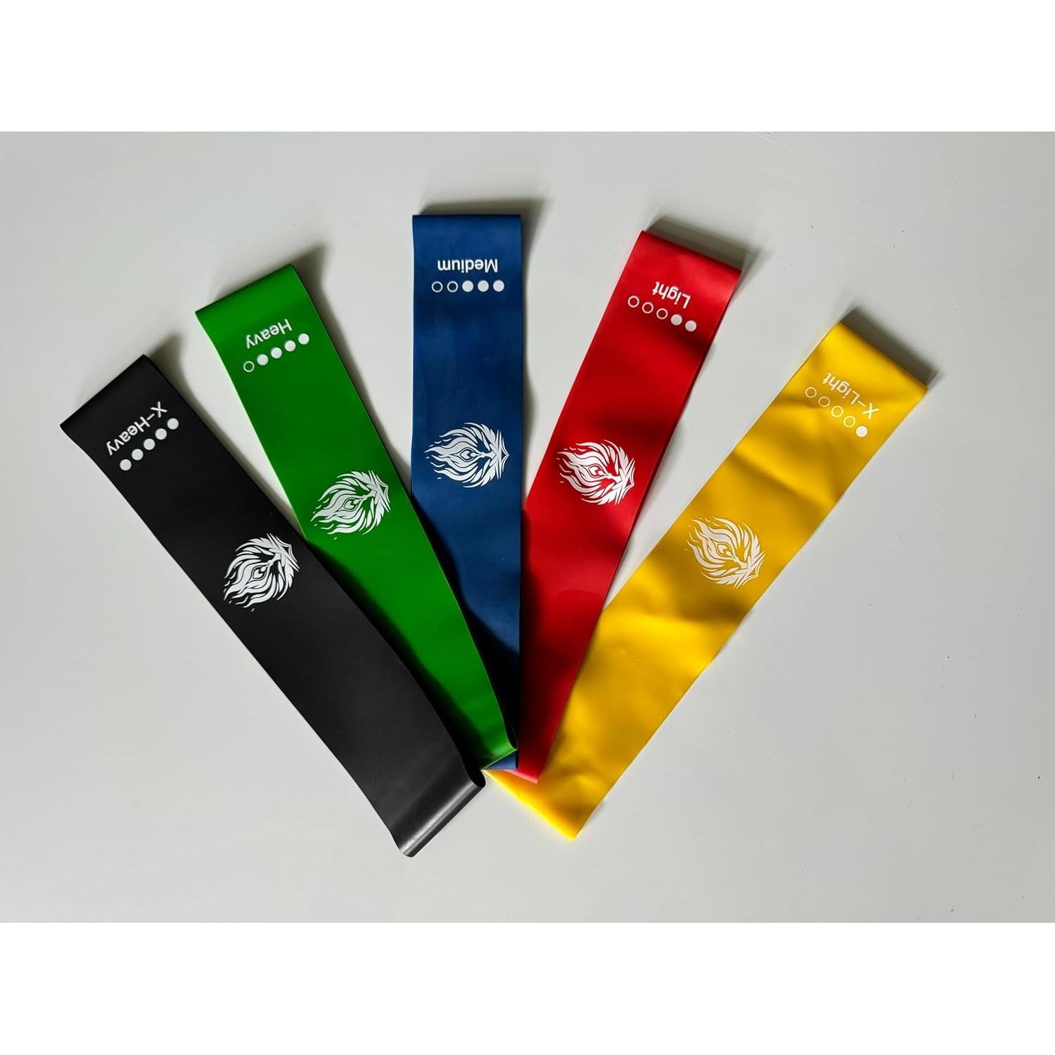 Banda de Resistencia Genérica EnduraBand Set de 5 Niveles