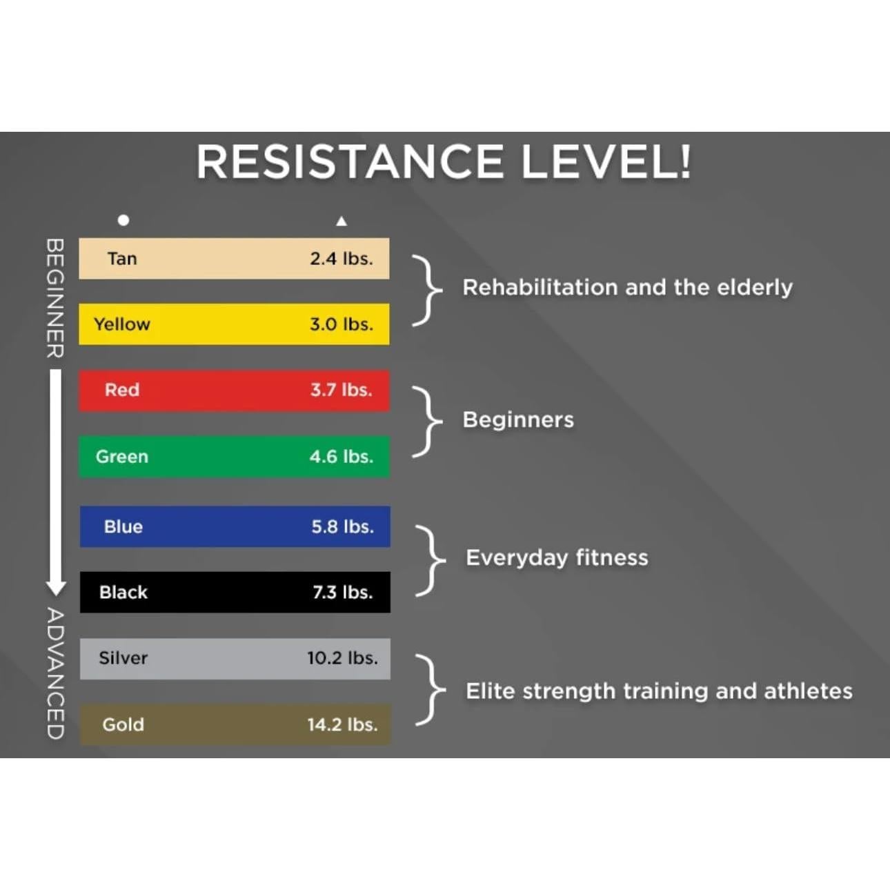 Banda de Resistencia Genérica EnduraBand Set de 5 Niveles