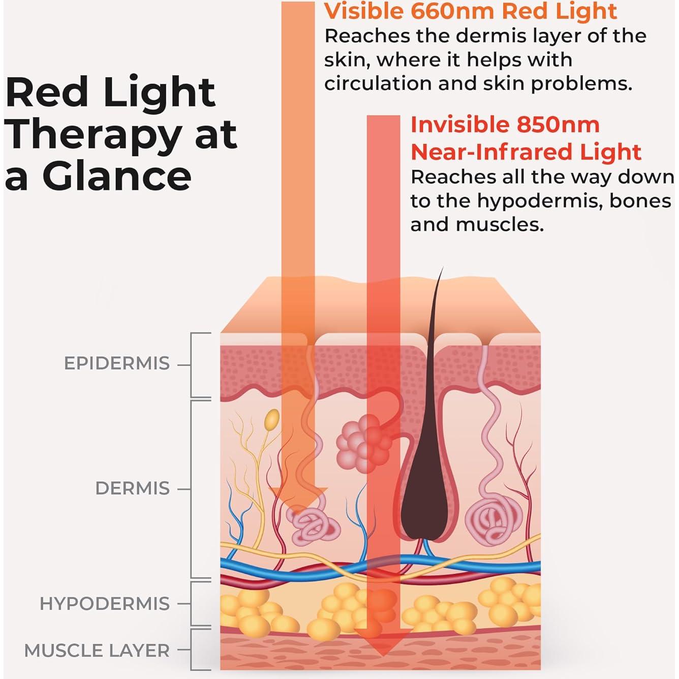 Cinturón de Terapia de Luz Roja LifePro Micro Recargable