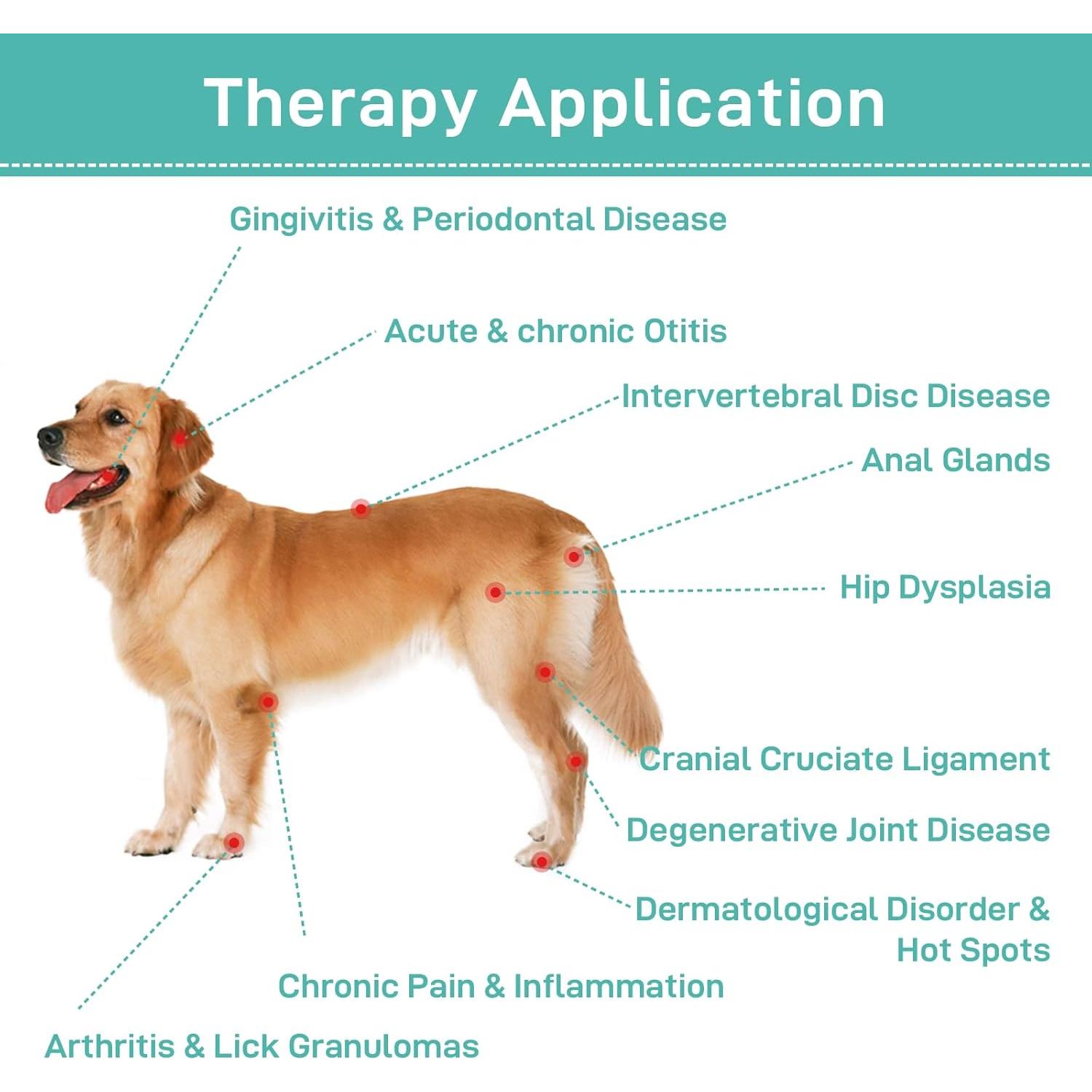 Dispositivo de Terapia Fría Lastek para Perros 2024 - Alivio Dolor