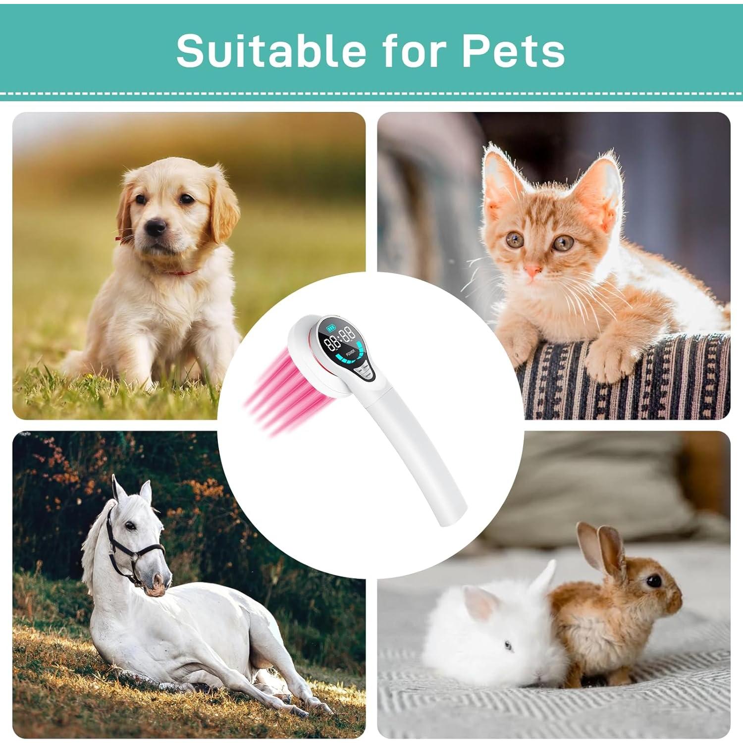 Dispositivo de Terapia Fría Lastek para Perros 2024 - Alivio Dolor