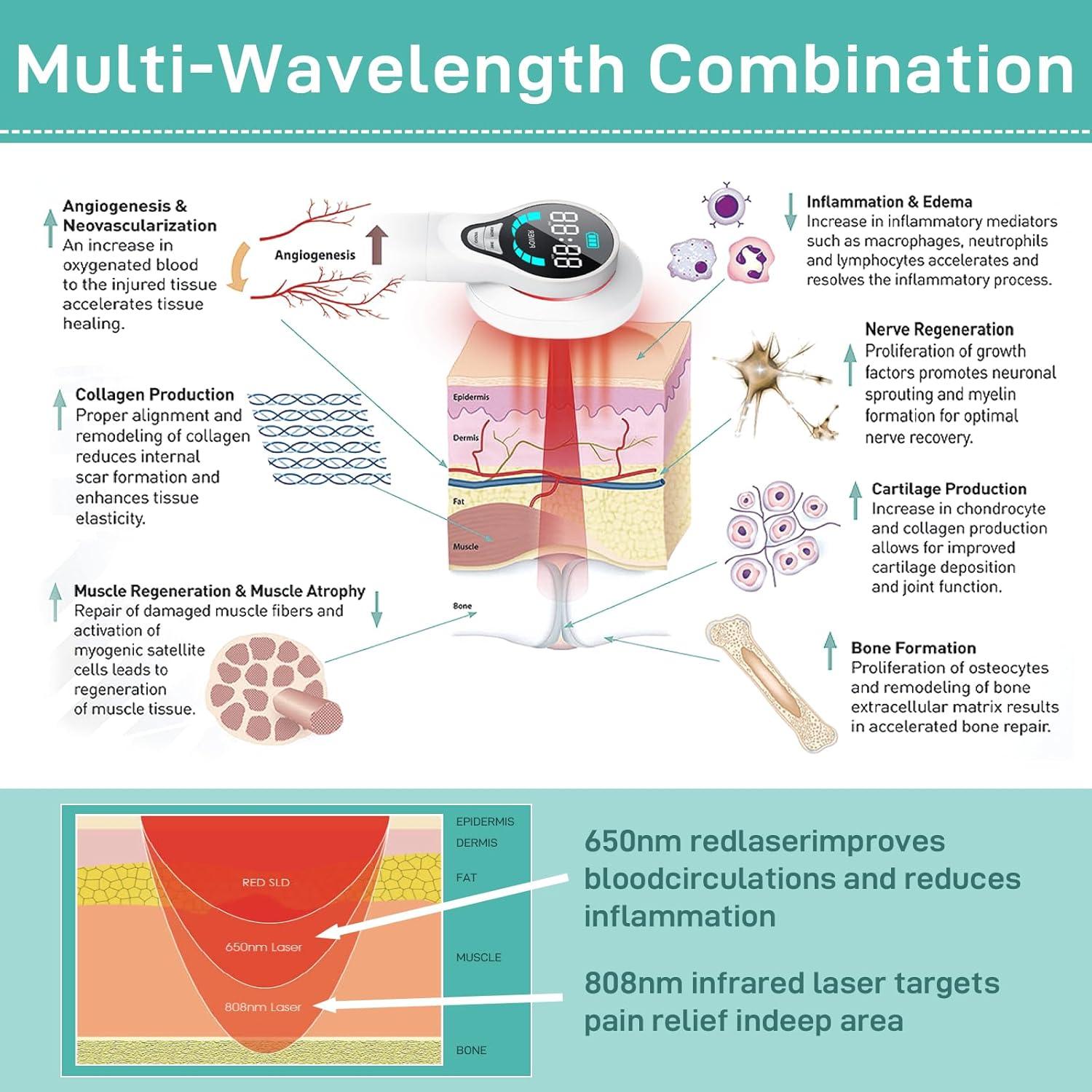 Dispositivo de Terapia Fría Lastek para Perros 2024 - Alivio Dolor