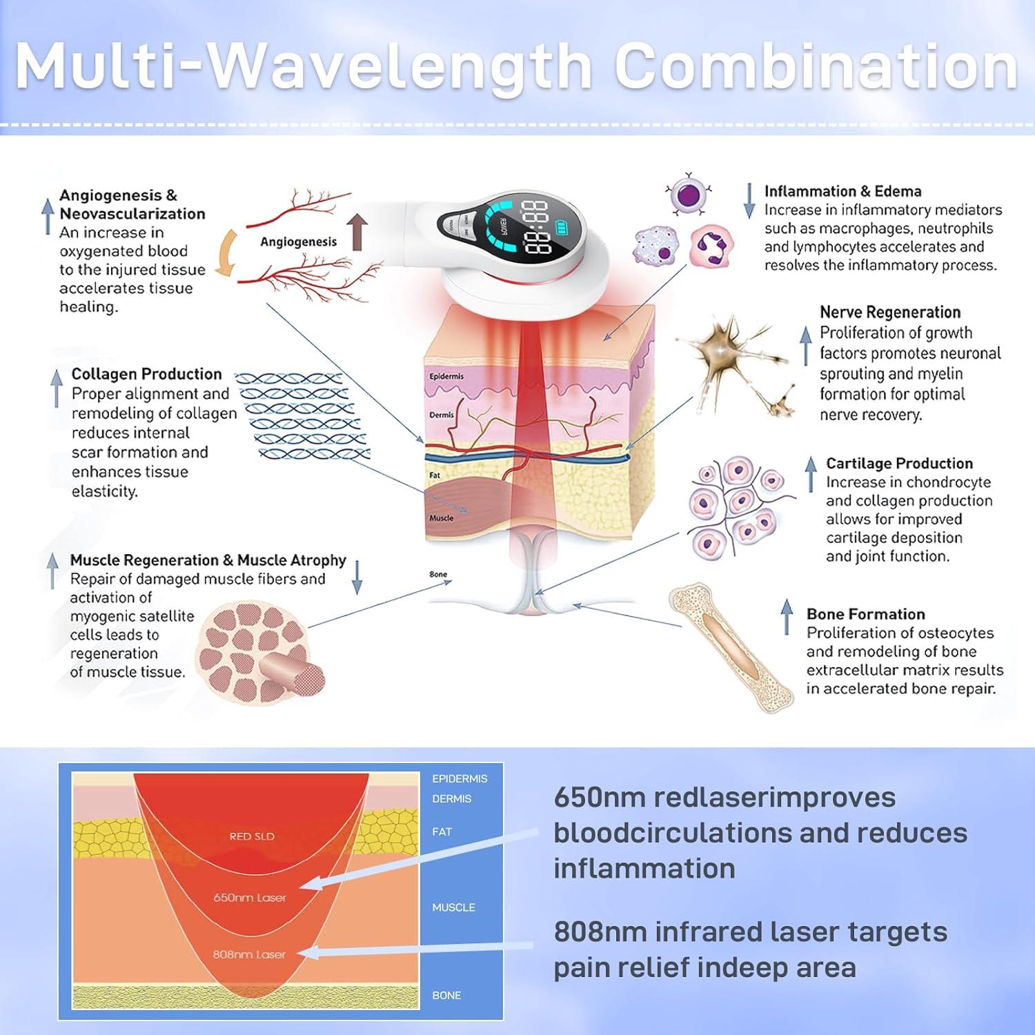 Dispositivo de Terapia Fría para Perros LASWHGDPET GDPE-WH-WM