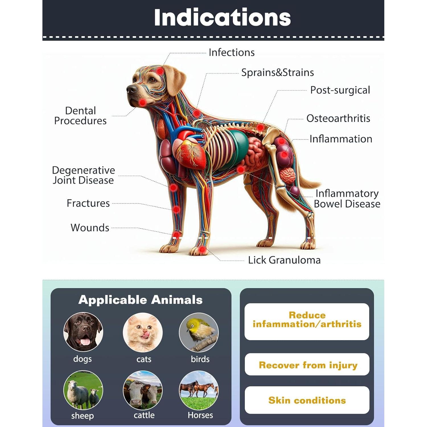 Terapia de Luz Roja para Perros TheyPet RLT 660nm 850nm