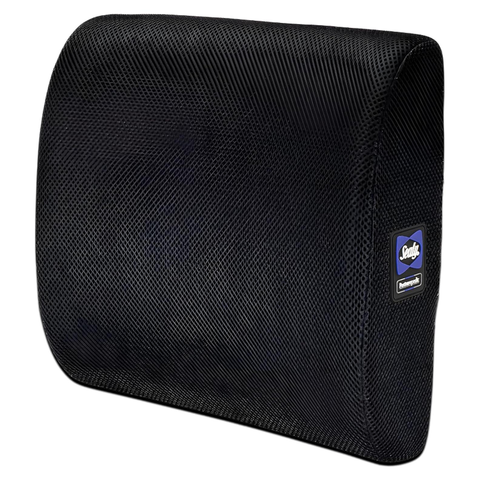 Cojín Lumbar Sealy SL11111 Espuma Viscoelástica Negro