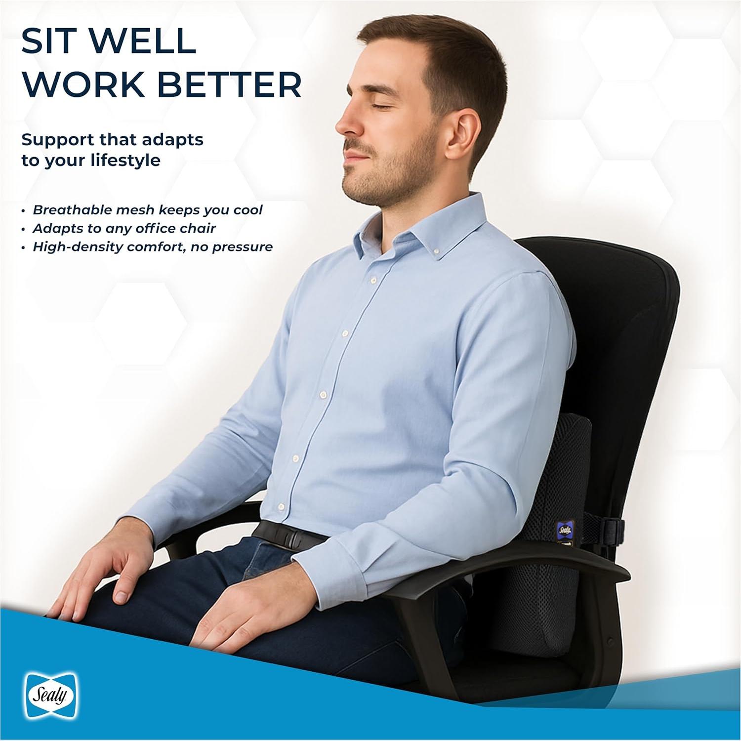 Cojín Lumbar Sealy SL11111 Espuma Viscoelástica Negro