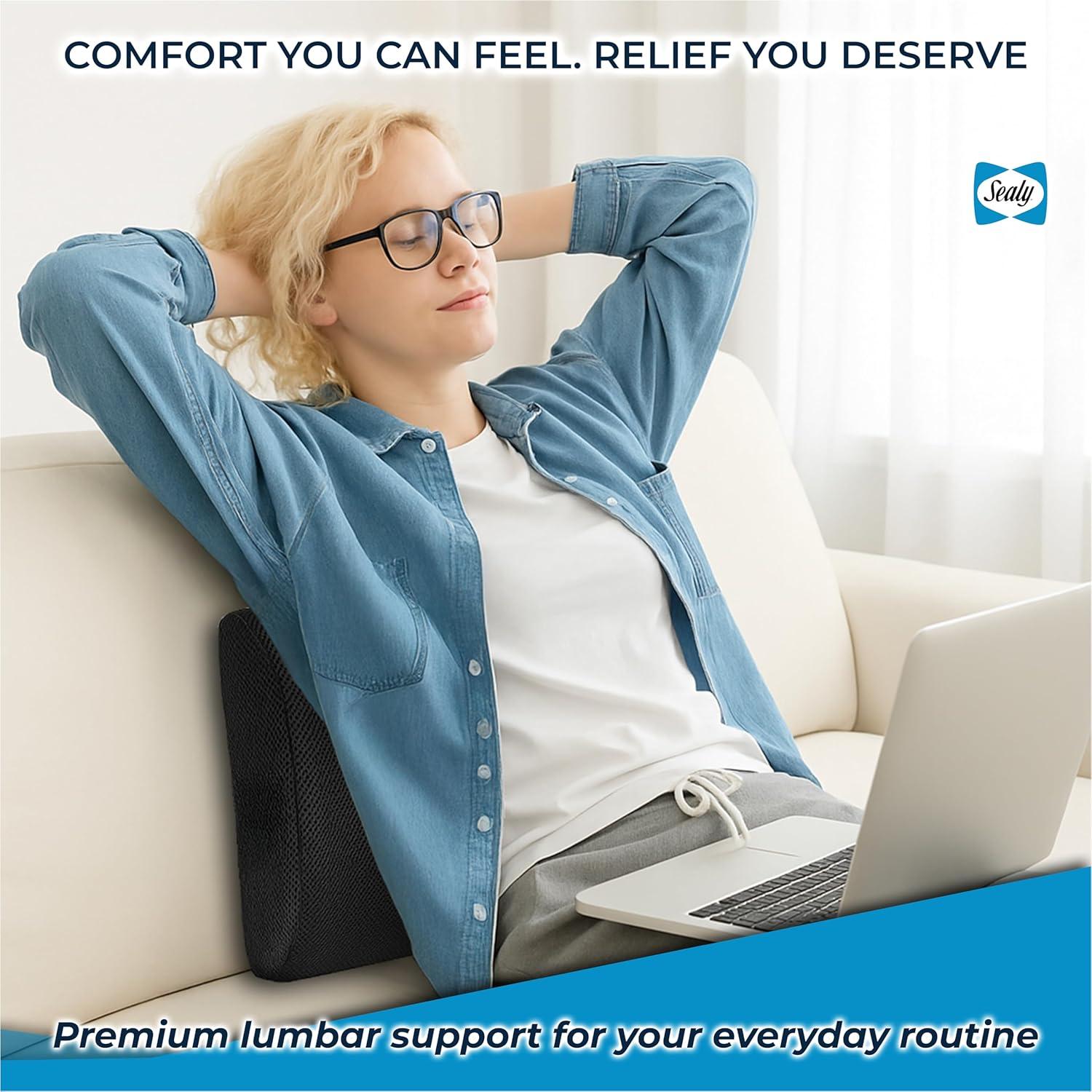 Cojín Lumbar Sealy SL11111 Espuma Viscoelástica Negro