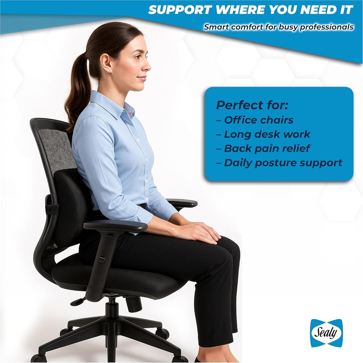 Cojín Lumbar Sealy SL11111 Espuma Viscoelástica Negro