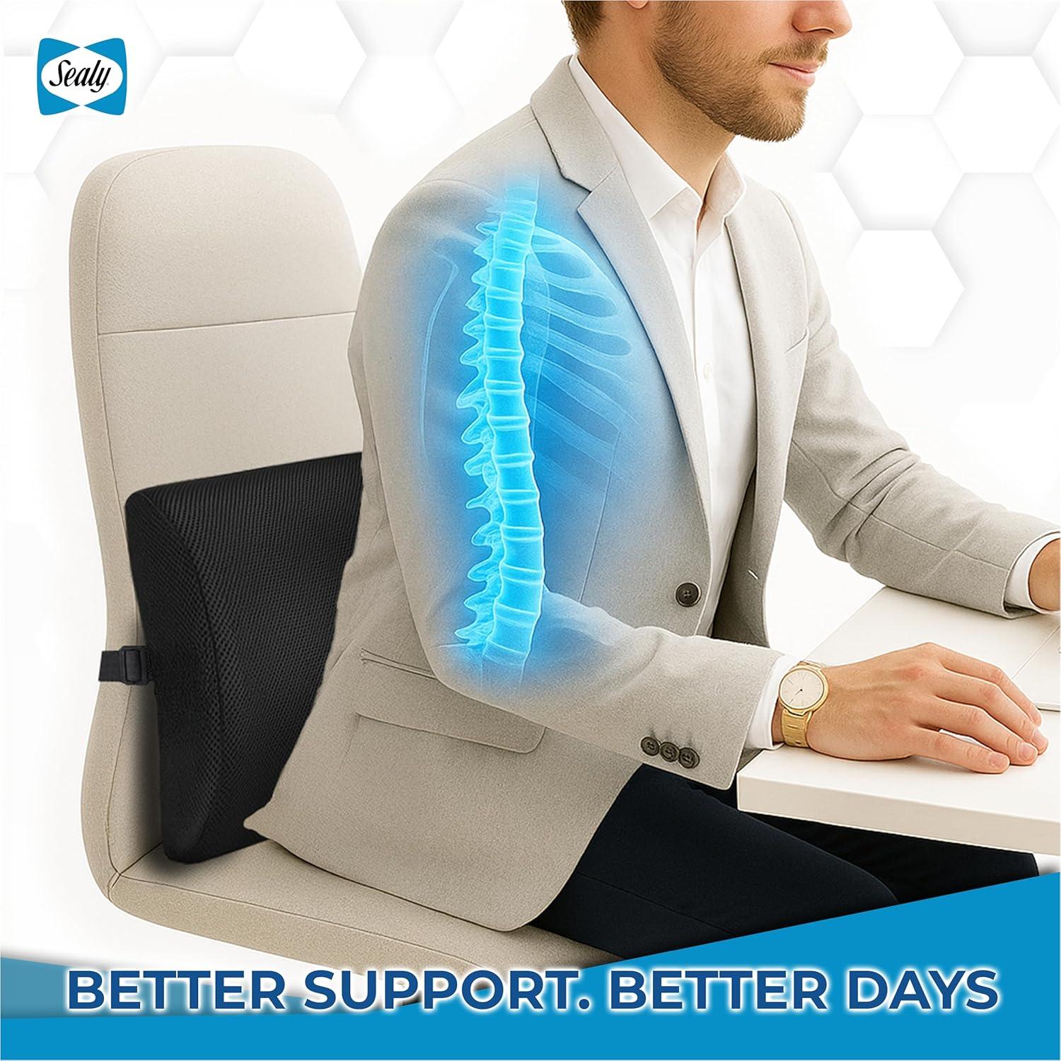 Cojín Lumbar Sealy SL11111 Espuma Viscoelástica Negro