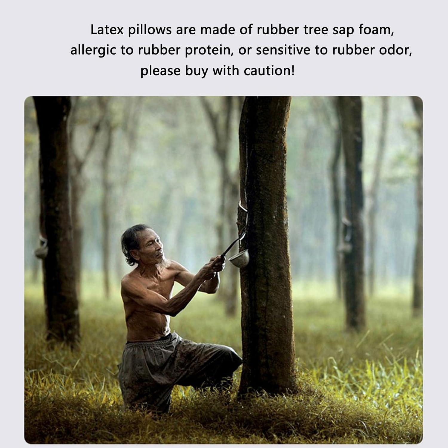 Cojín cervical ergonómico TIERSINI de látex natural 4.7/5.5"