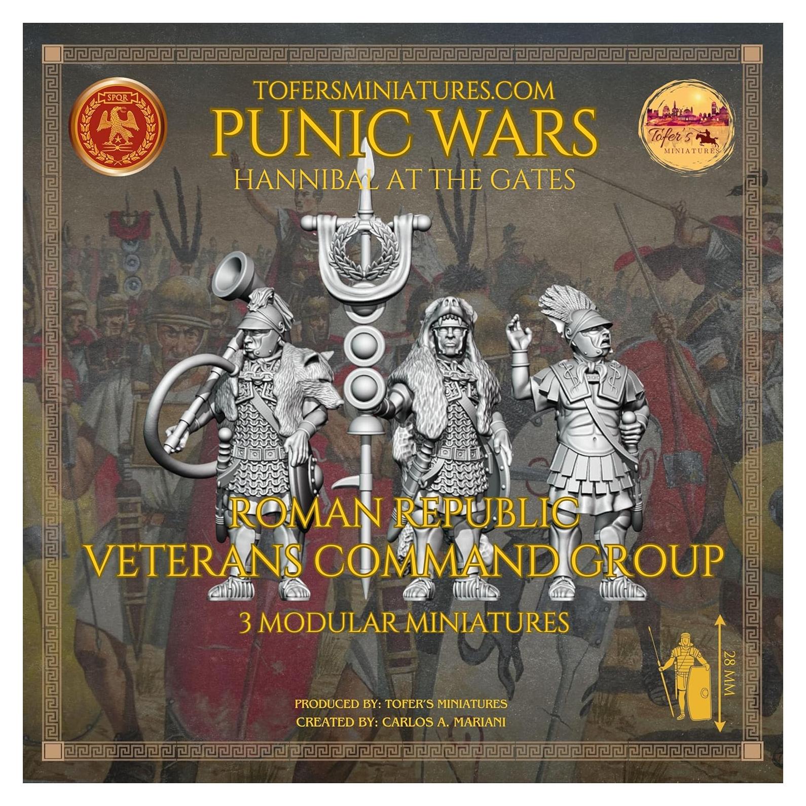 Miniaturas de Comando Veteranos Roma 28mm Tofer's