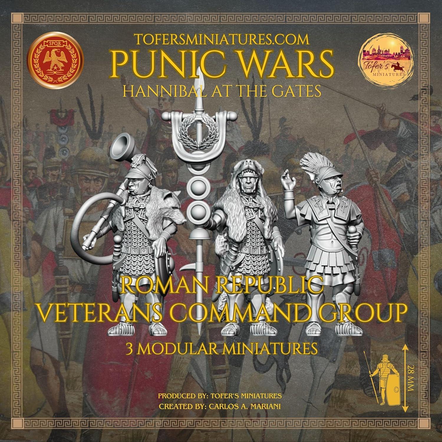 Miniaturas de Comando Veteranos Roma 28mm Tofer's