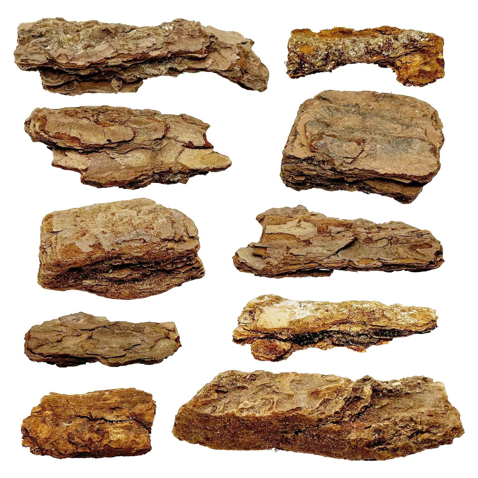 Kit Diorama Cayway 10 PCS Corteza Árbol Miniatura 5-10cm