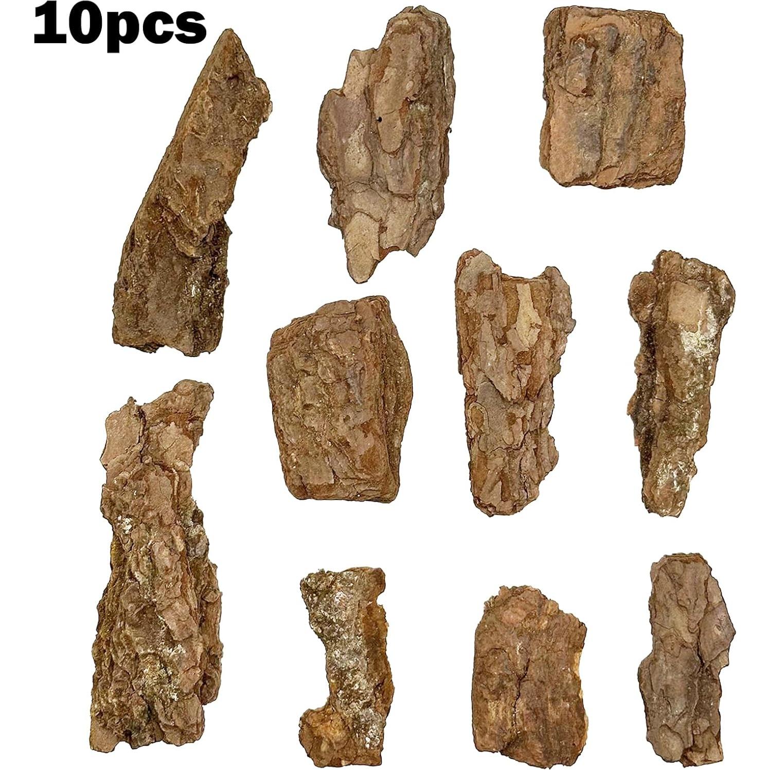 Kit Diorama Cayway 10 PCS Corteza Árbol Miniatura 5-10cm